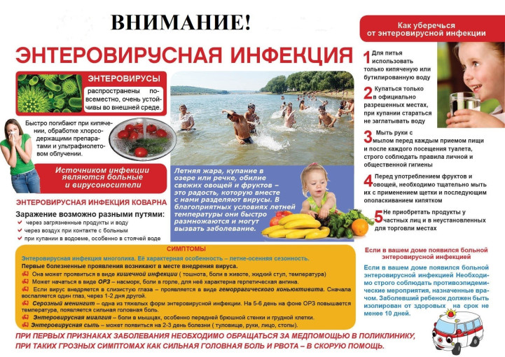 Энтеровирусная инфекция и меры ее профилактики Энтеровирусная инфекция и меры ее профилактики.